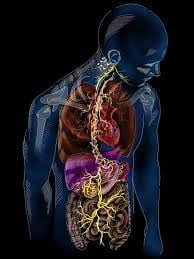 neuroinflamación